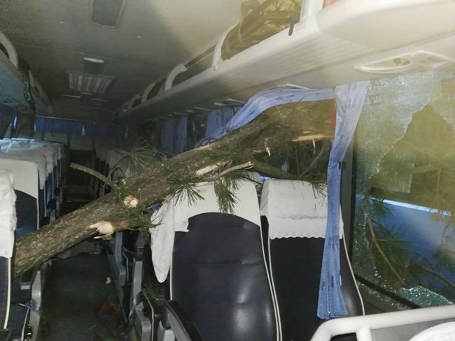 一個都不能少——國旅四川公司導游董一平帶領游客脫險側記（圖）